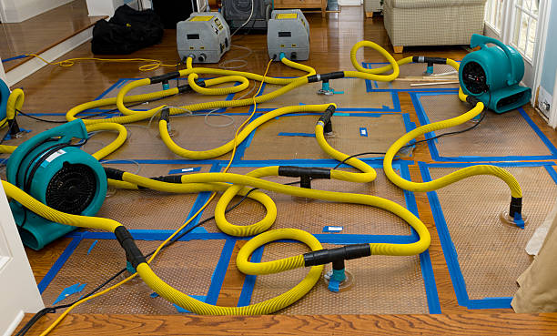 Professional Water Extraction technician working in Bellevue, OH
